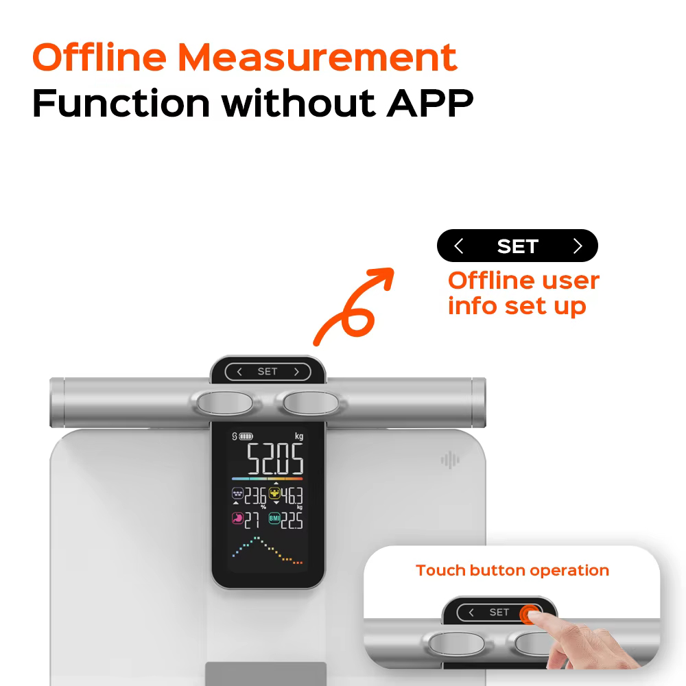 2025 Nieuwe offline meetfuncti - Body Fat Scale Smart recensie en prijs