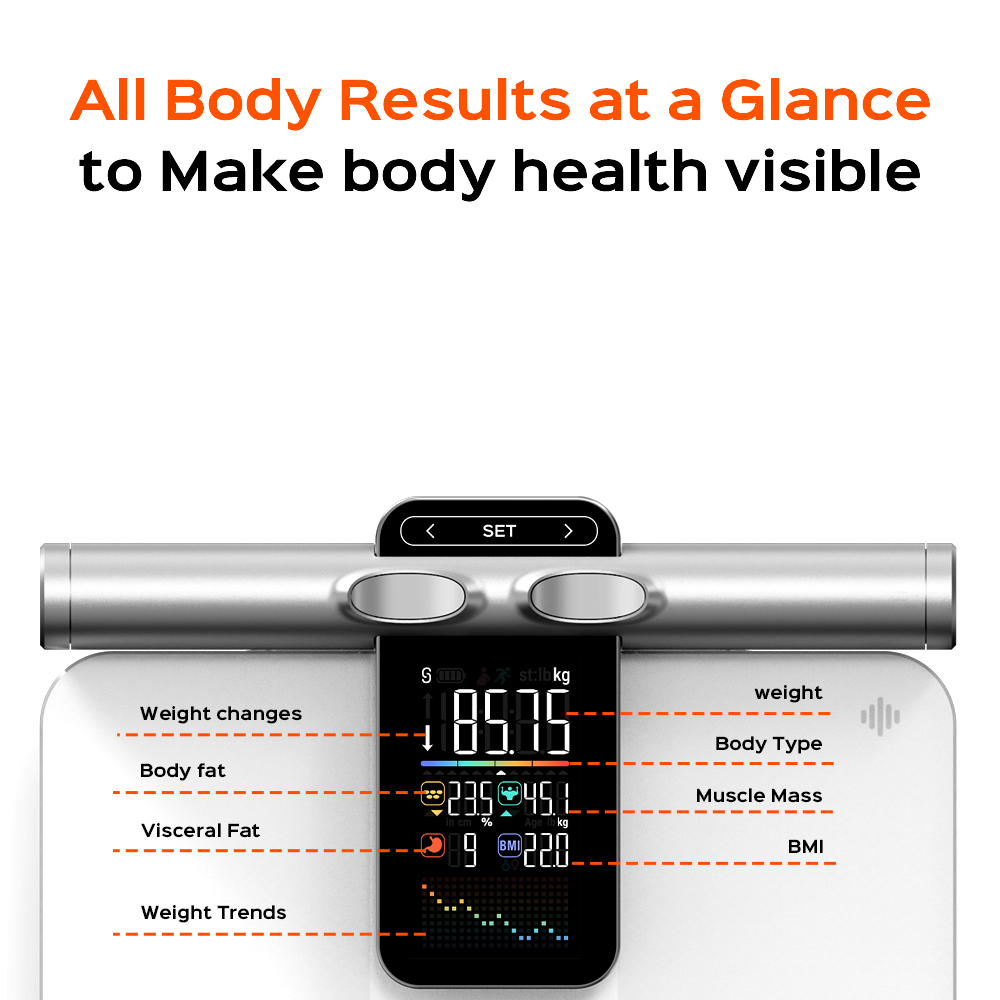 2025 Nieuwe offline meetfuncti - Body Fat Scale Smart recensie en prijs
