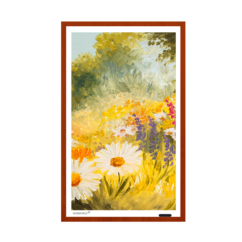 Slimme fotolijst display 27 in - Digital Photo Frame Wifi recensie en prijs